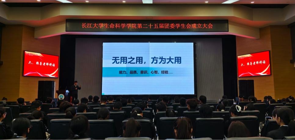 球王会平台,球王会网站