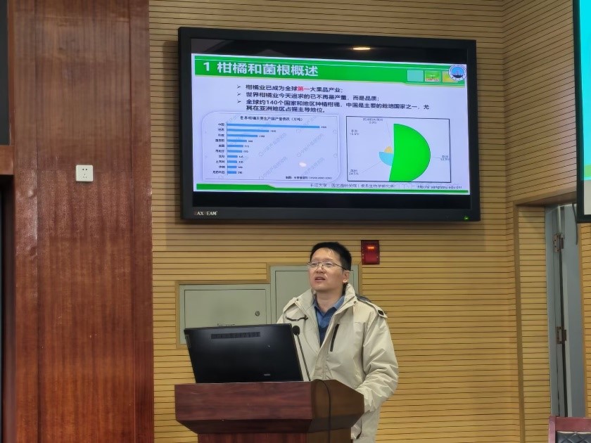 球王会平台,球王会网站