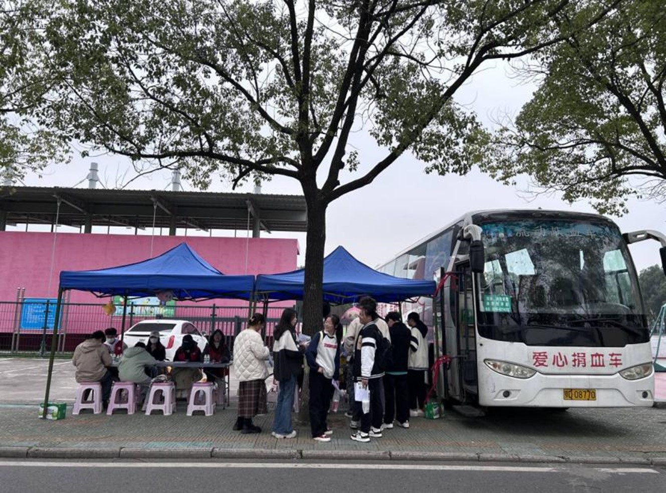 球王会平台,球王会网站