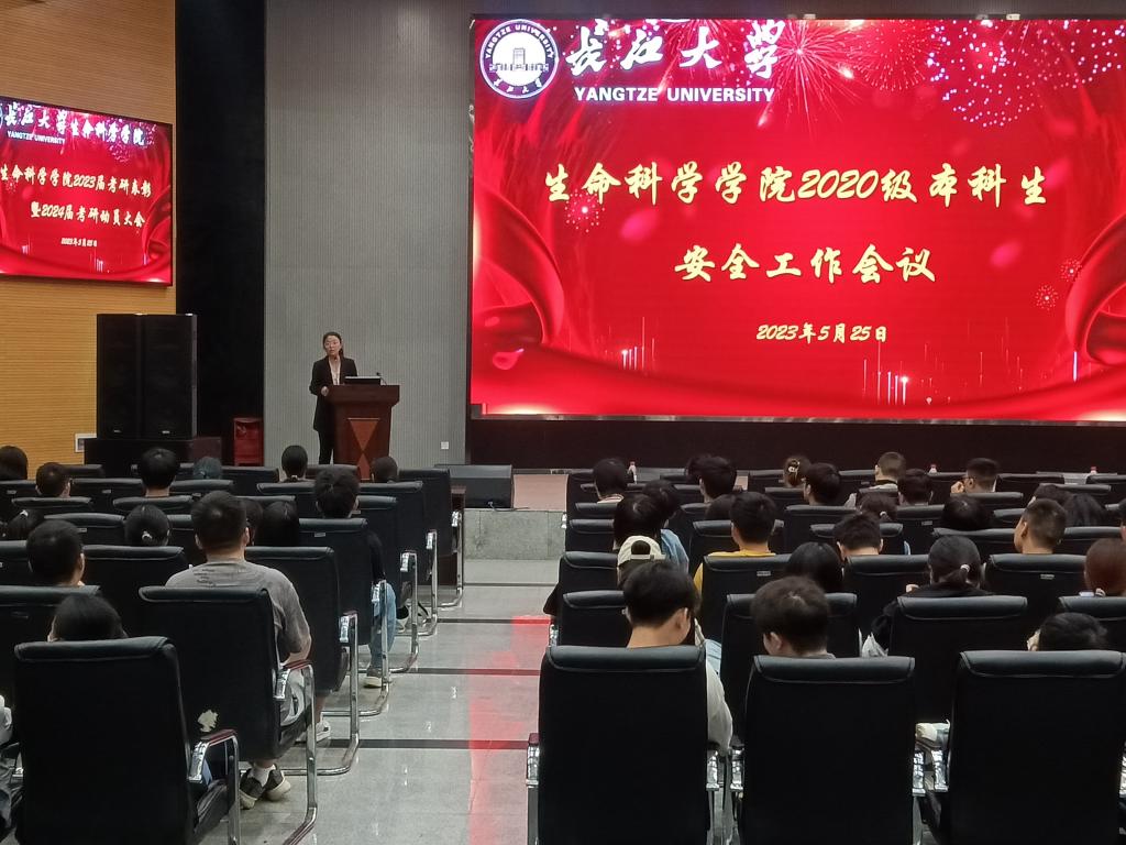 球王会平台,球王会网站