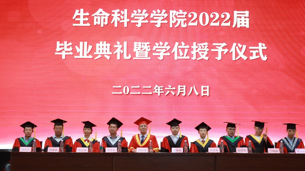 球王会平台,球王会网站