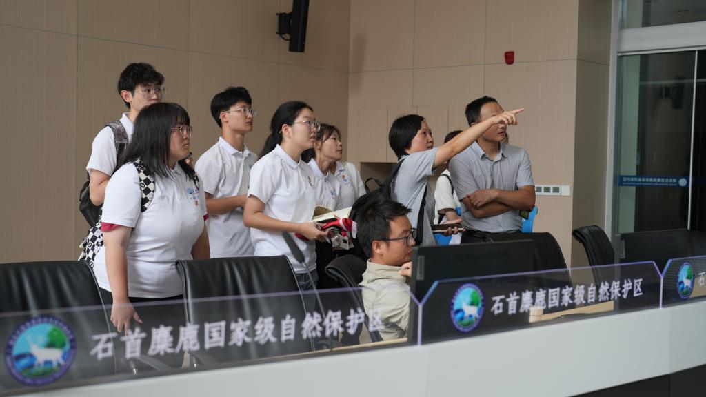 球王会平台,球王会网站
