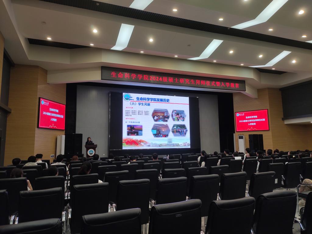 球王会平台,球王会网站