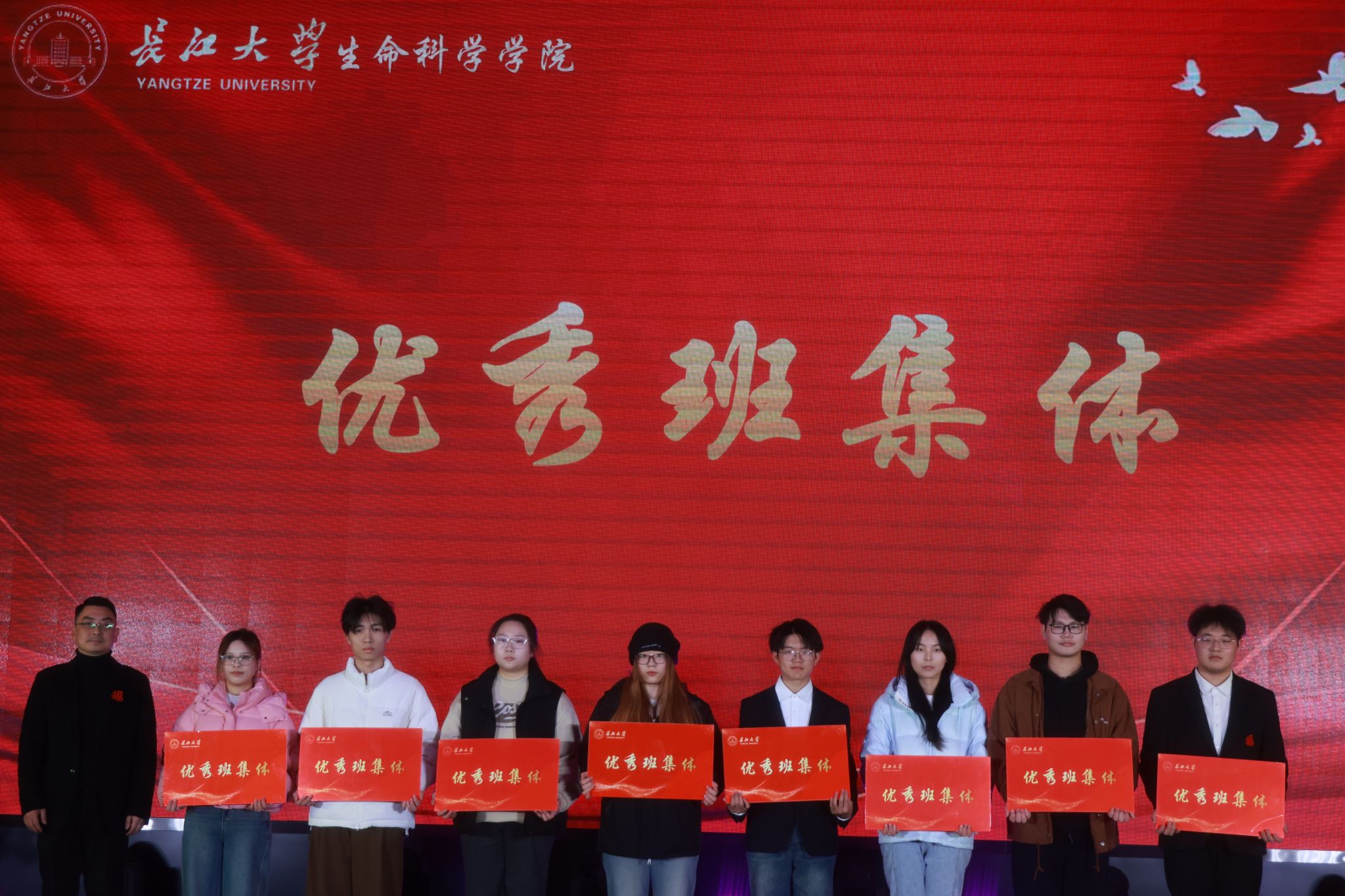 球王会平台,球王会网站