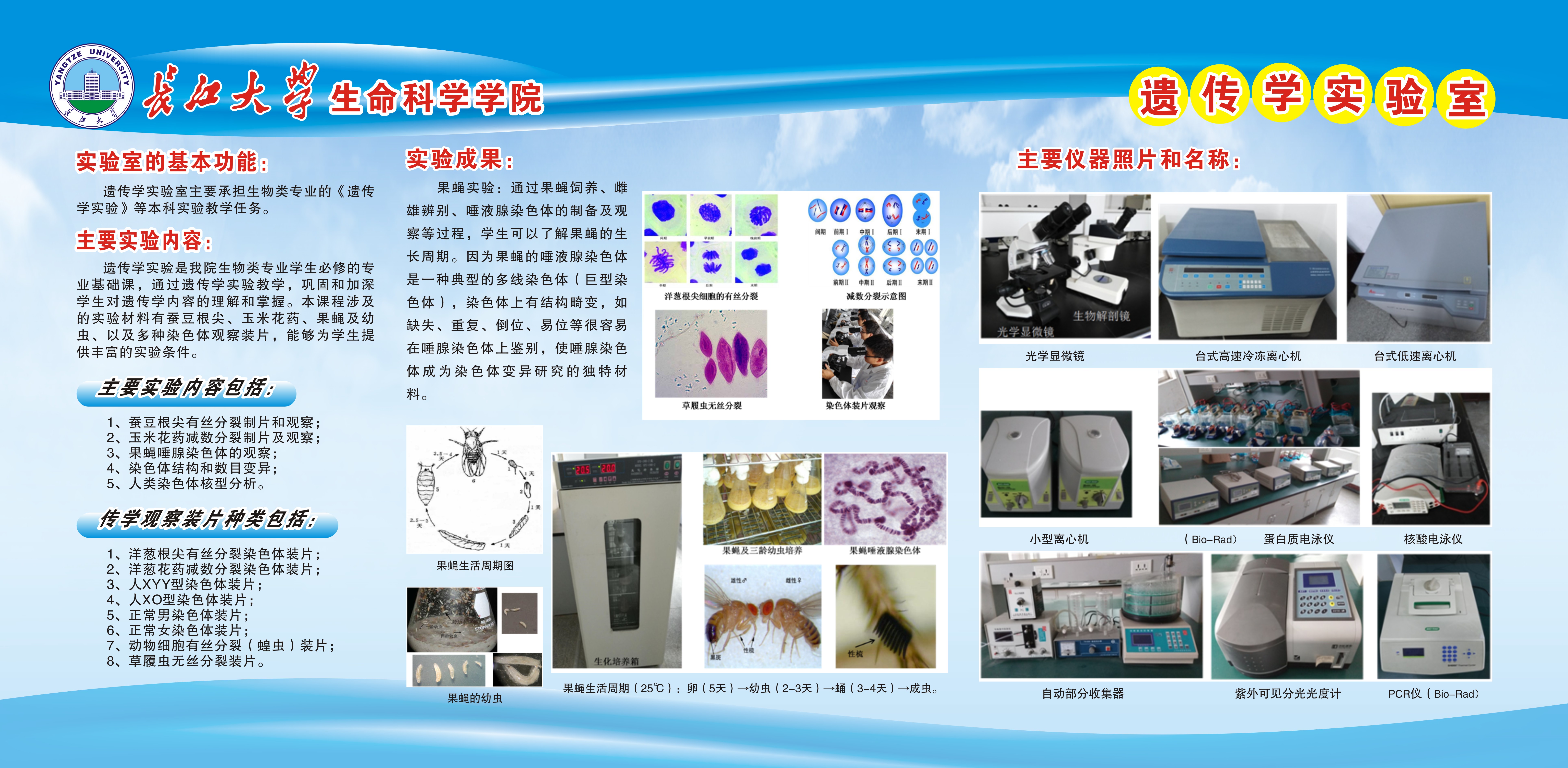 球王会平台,球王会网站