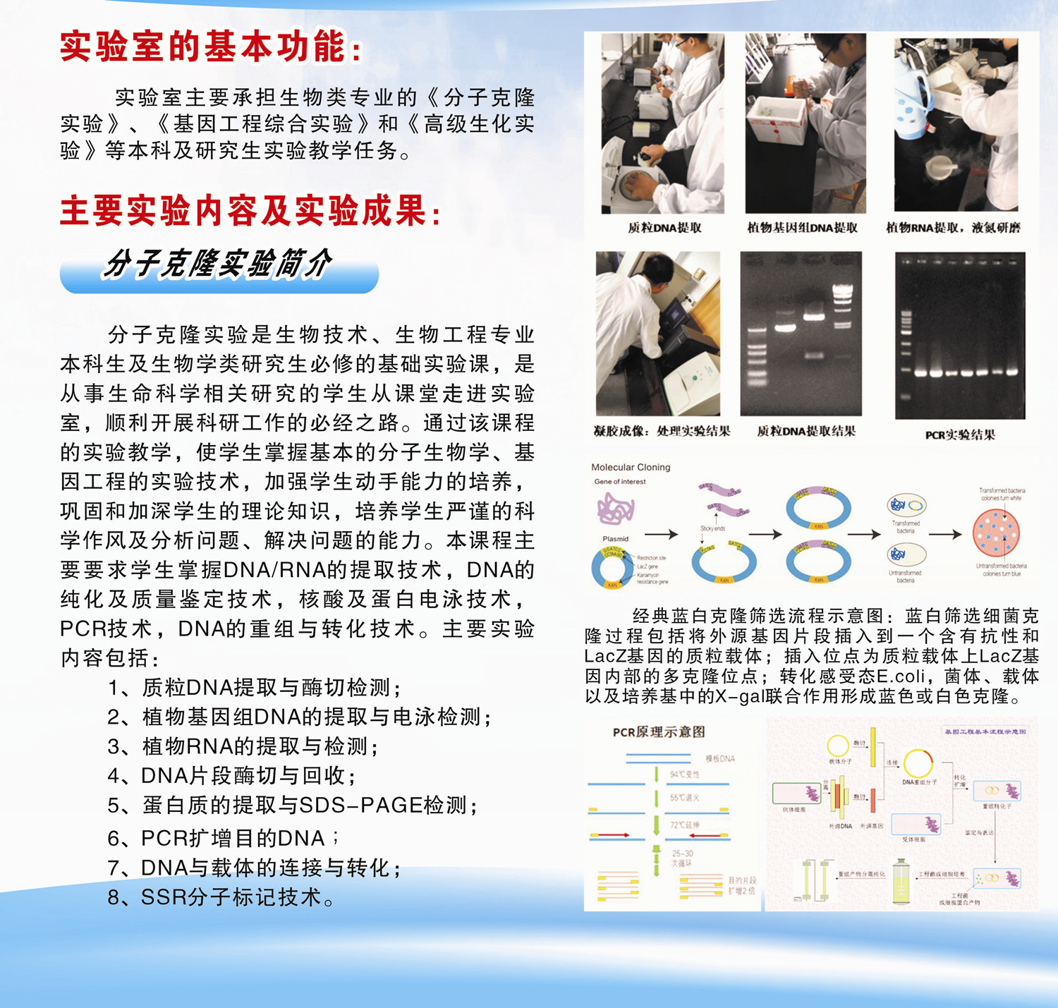 球王会平台,球王会网站