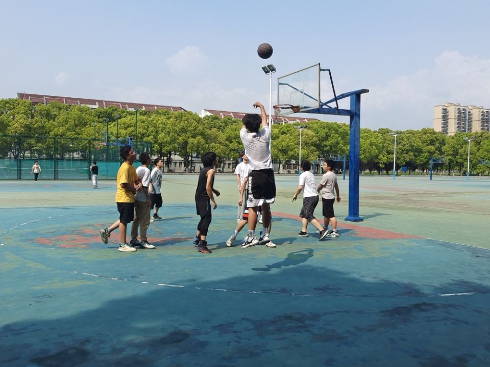 球王会平台,球王会网站