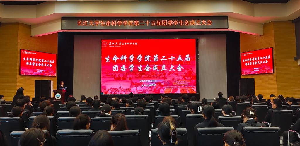 球王会平台,球王会网站