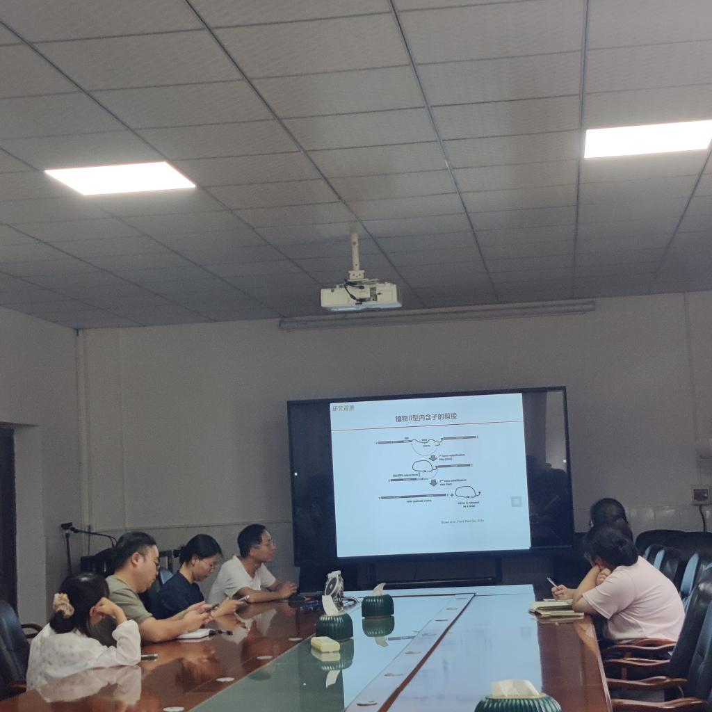 球王会平台,球王会网站
