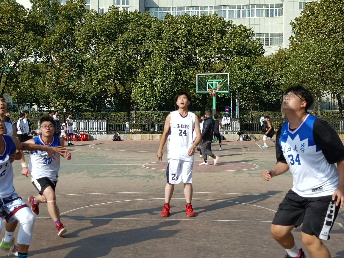 球王会平台,球王会网站