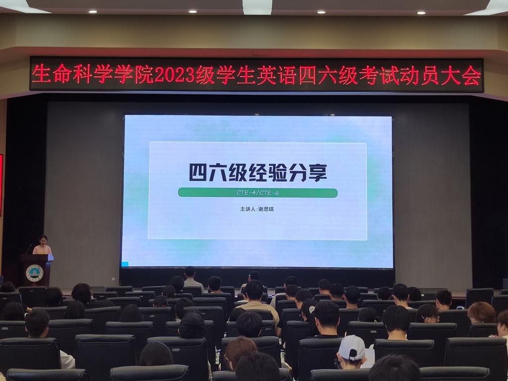 球王会平台,球王会网站