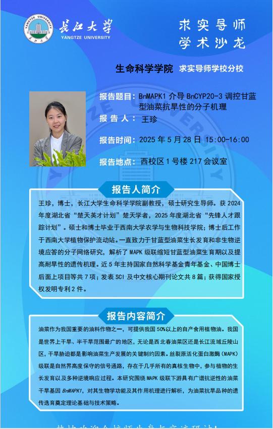球王会平台,球王会网站