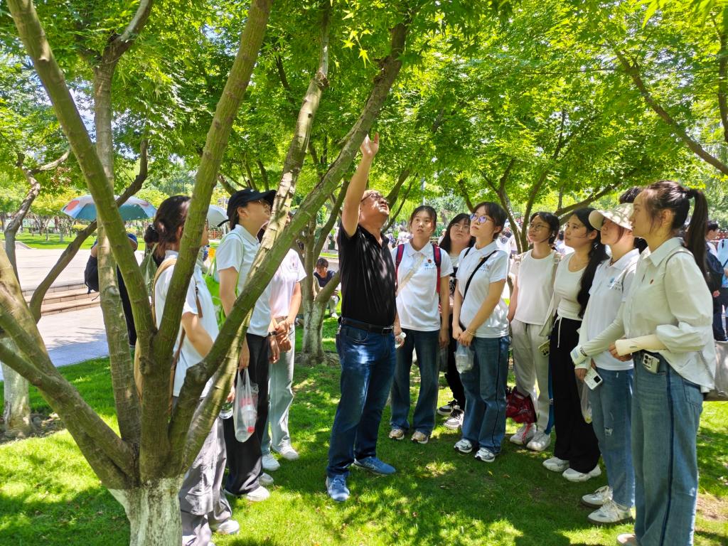 球王会平台,球王会网站