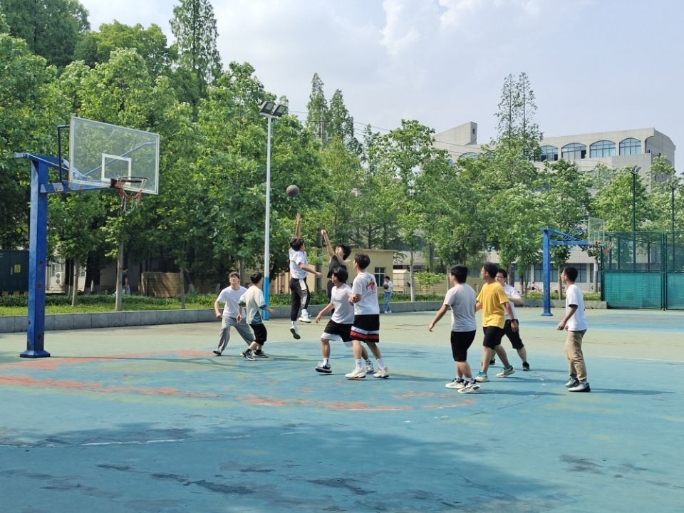 球王会平台,球王会网站