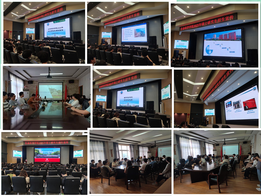 球王会平台,球王会网站