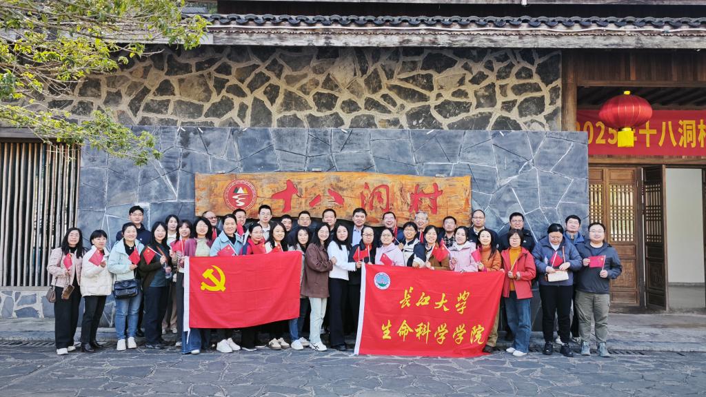 球王会平台,球王会网站