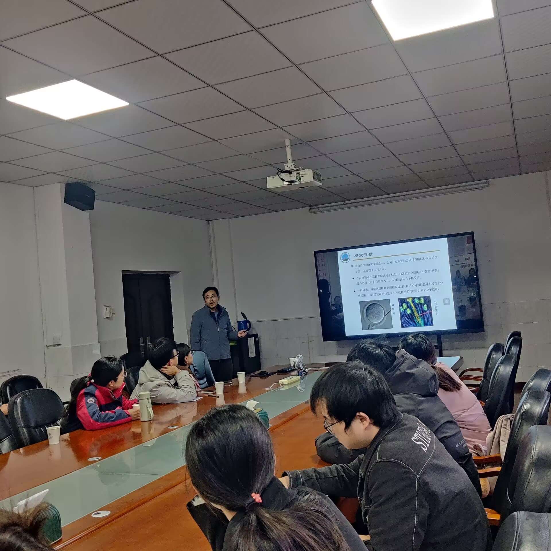 球王会平台,球王会网站