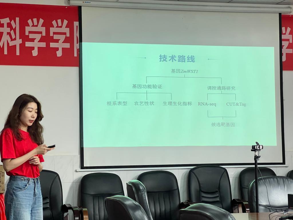球王会平台,球王会网站