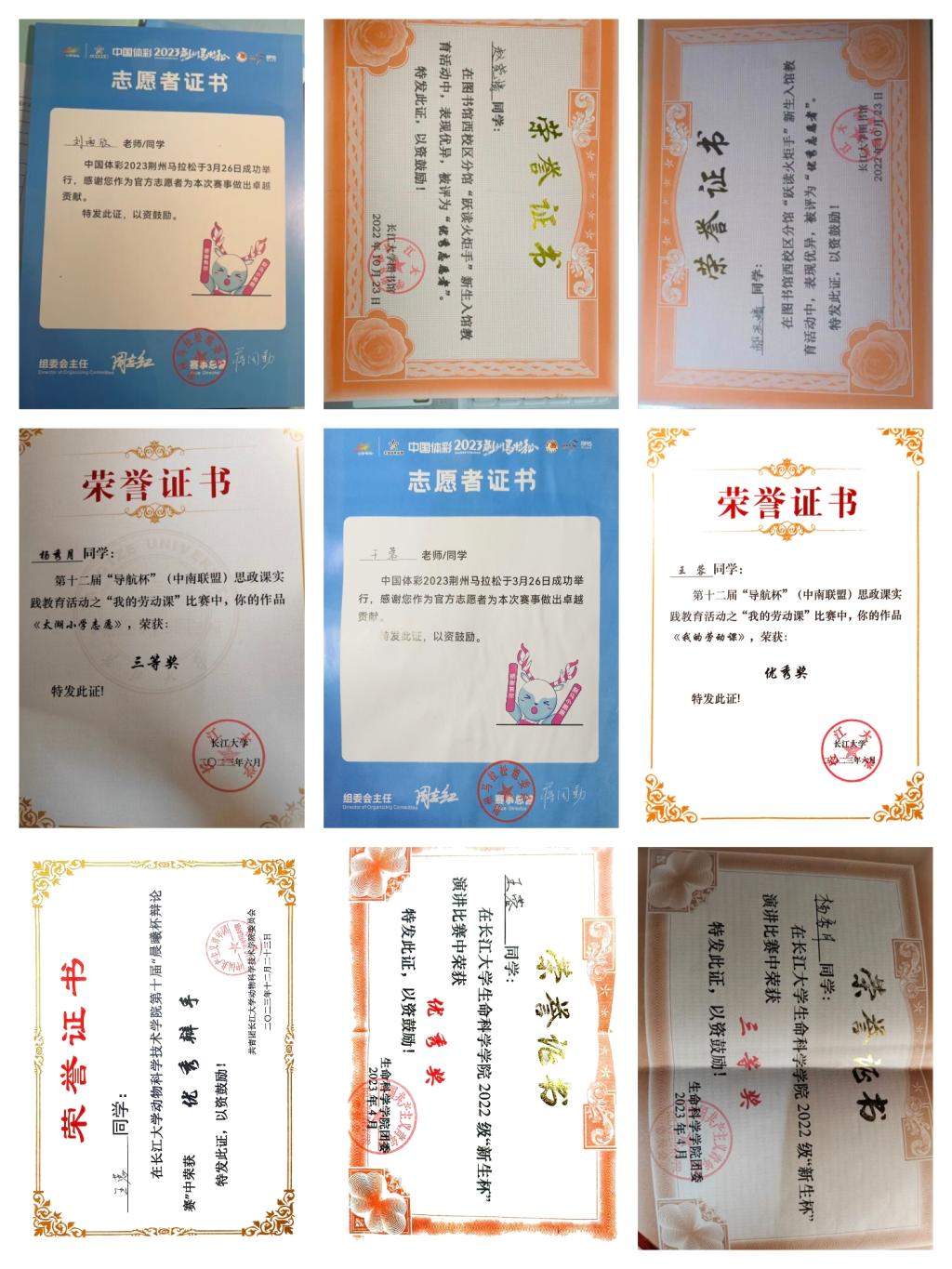 球王会平台,球王会网站