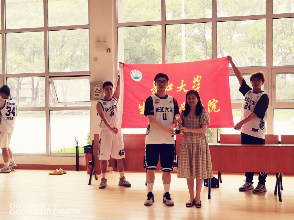 球王会平台,球王会网站