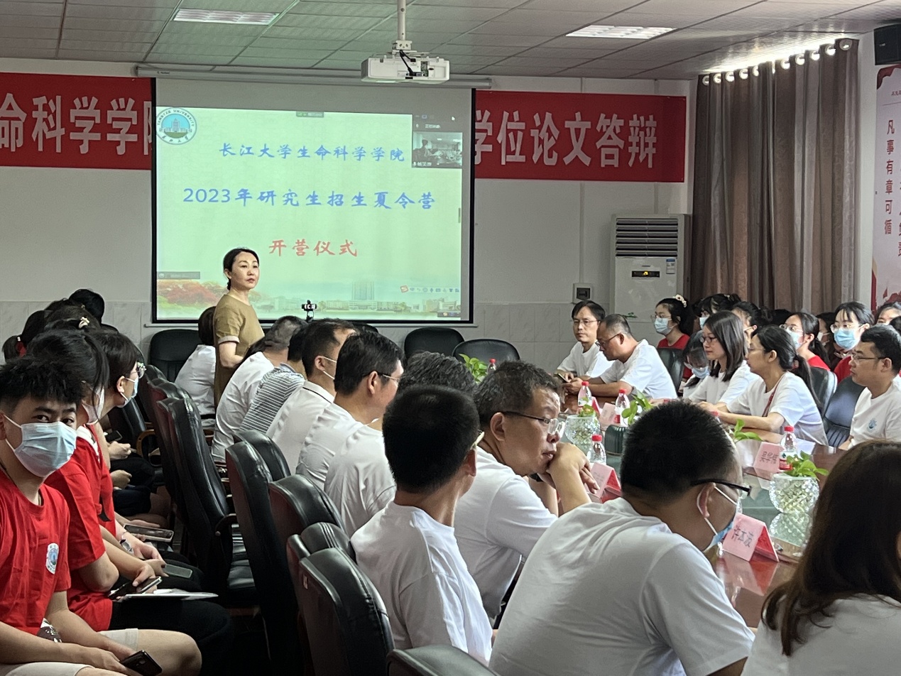 球王会平台,球王会网站