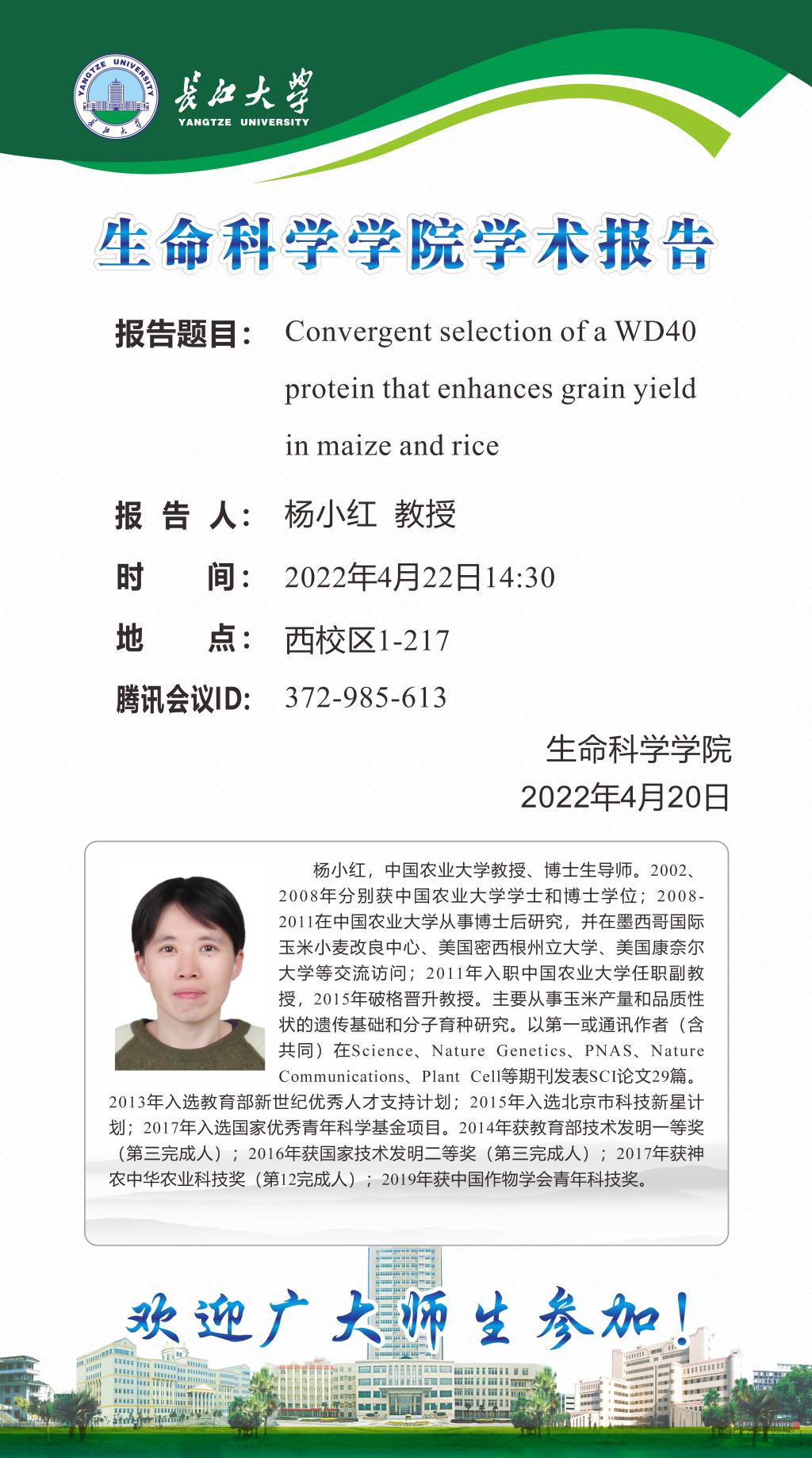 球王会平台,球王会网站