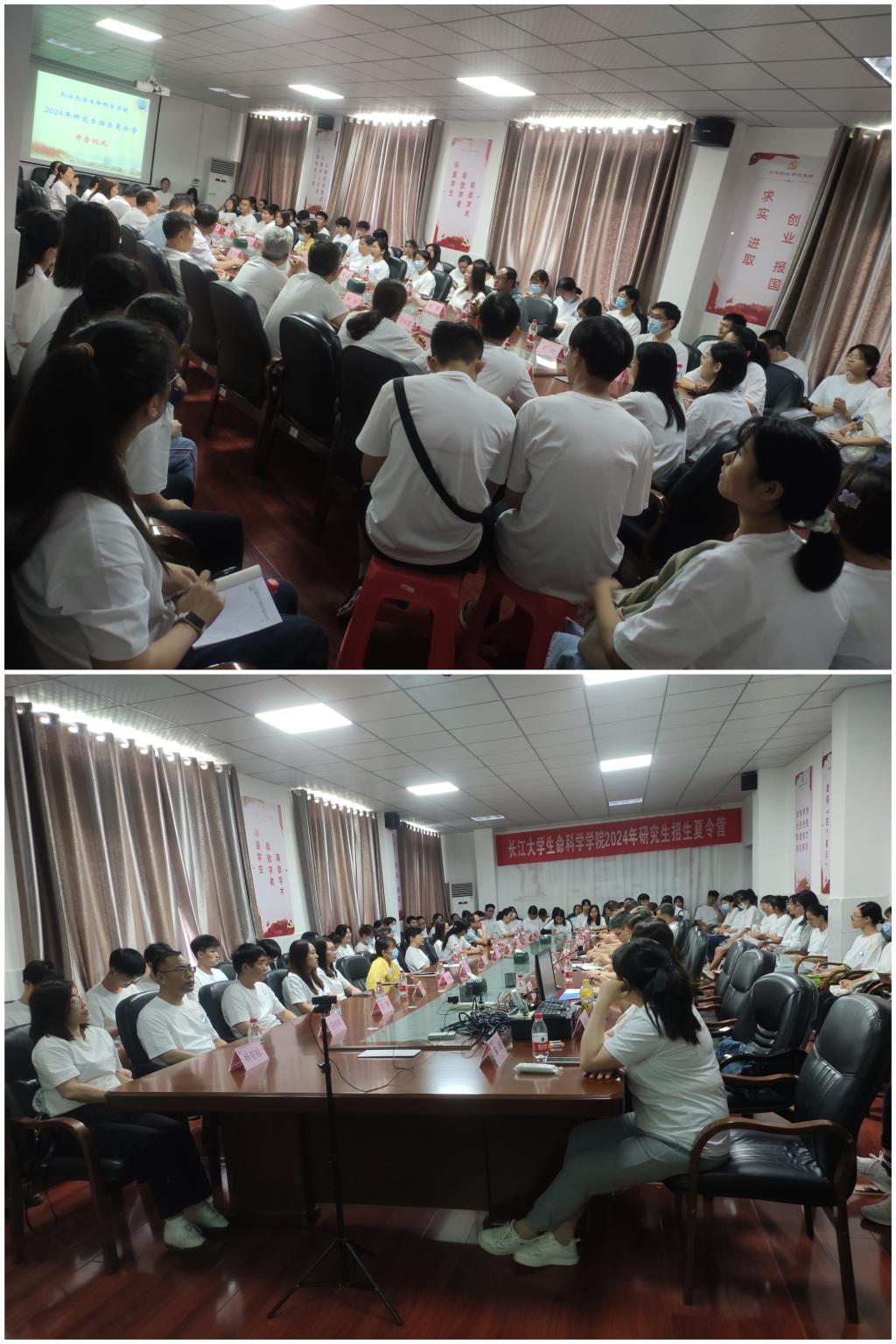 球王会平台,球王会网站