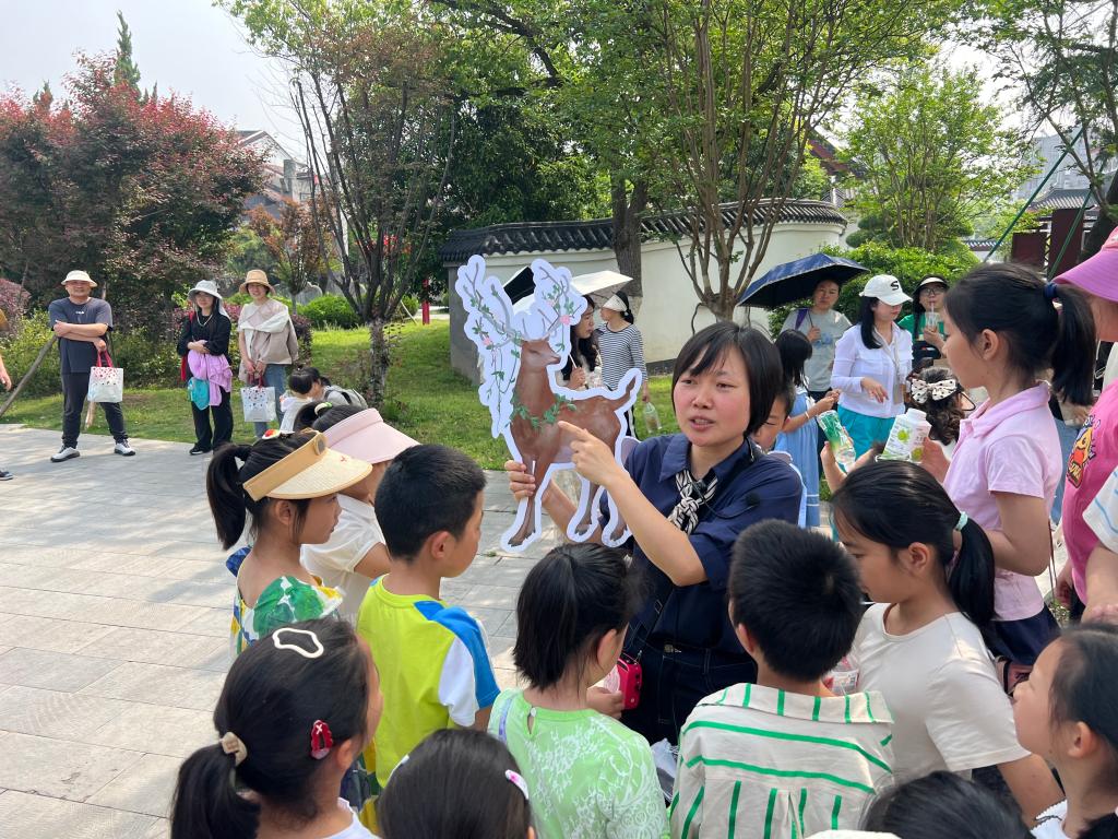 球王会平台,球王会网站