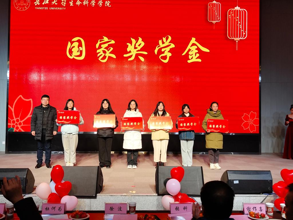 球王会平台,球王会网站