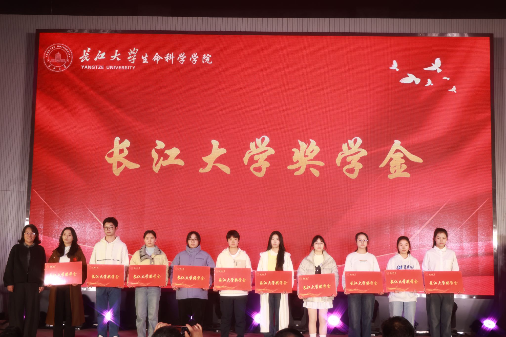 球王会平台,球王会网站