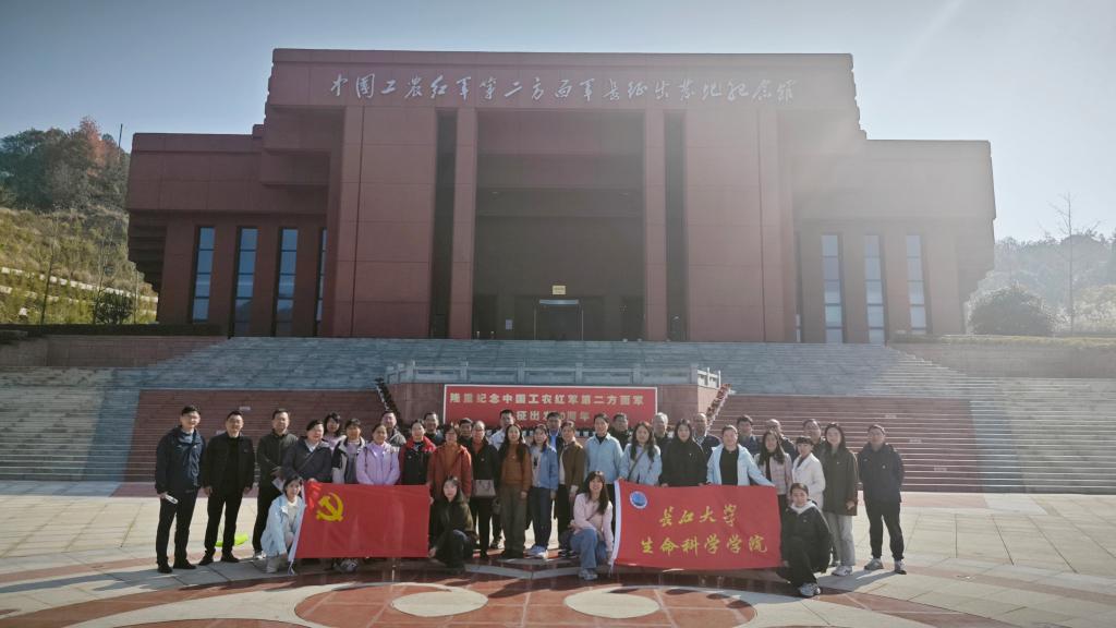 球王会平台,球王会网站