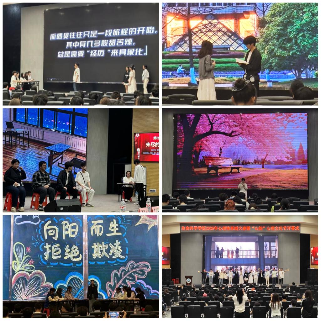 球王会平台,球王会网站
