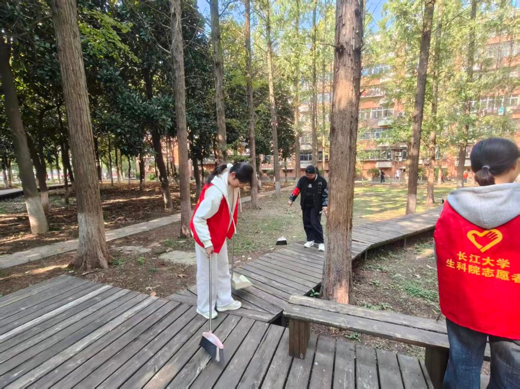 球王会平台,球王会网站