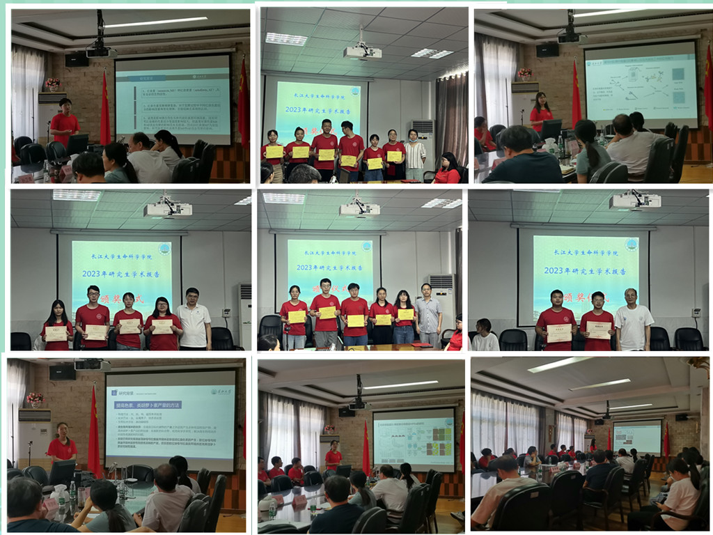 球王会平台,球王会网站