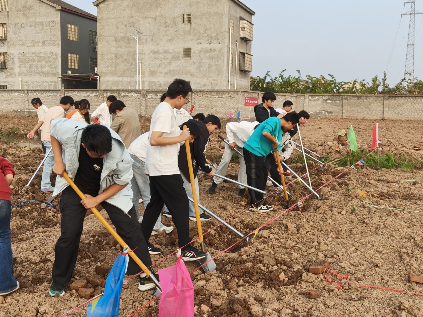 球王会平台,球王会网站