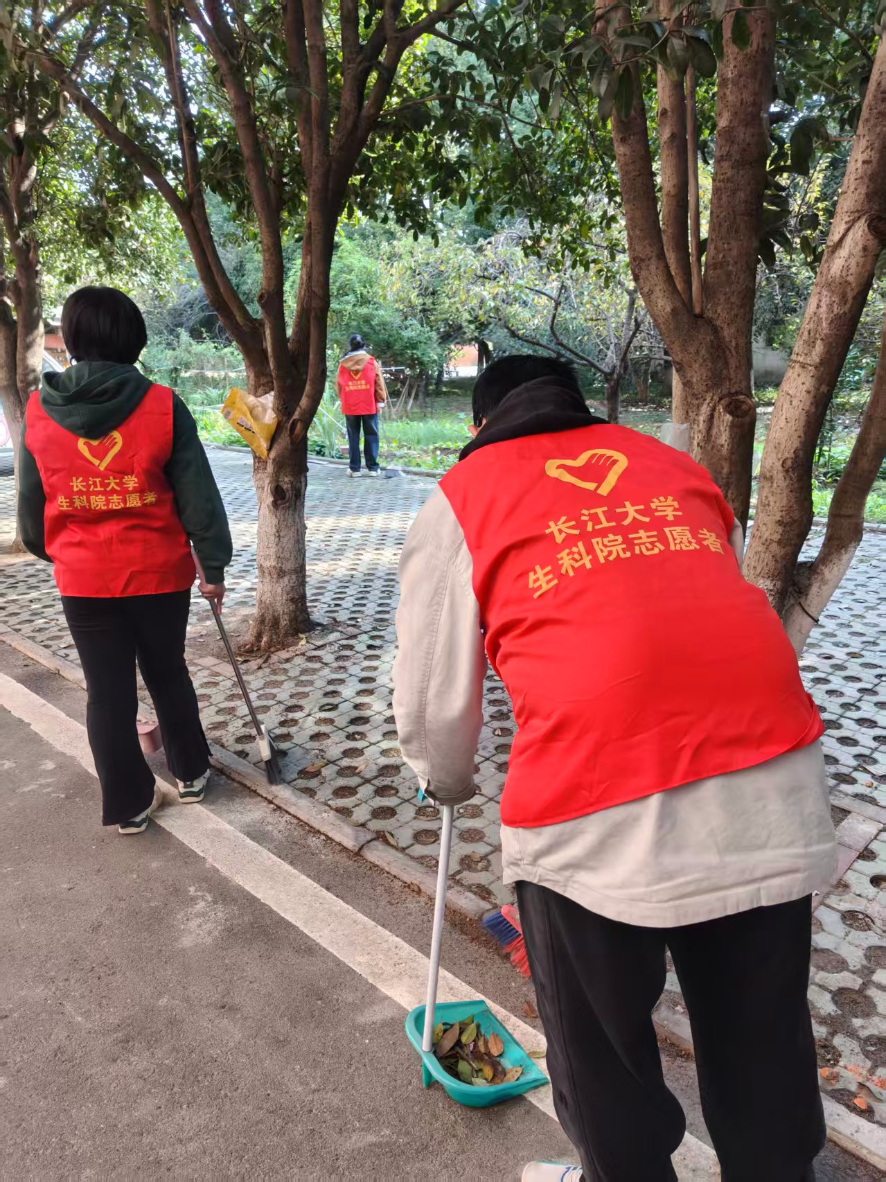 球王会平台,球王会网站