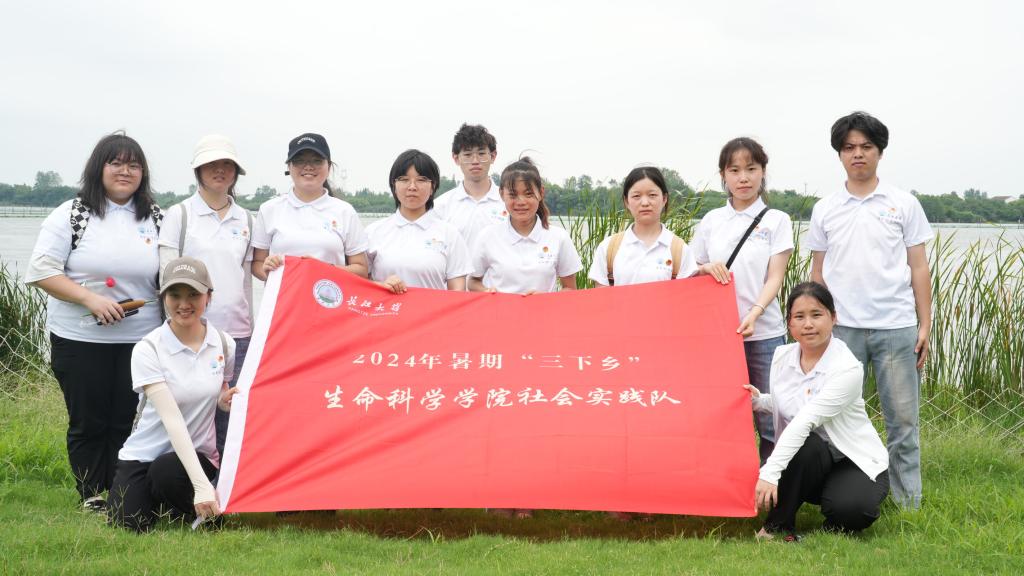球王会平台,球王会网站