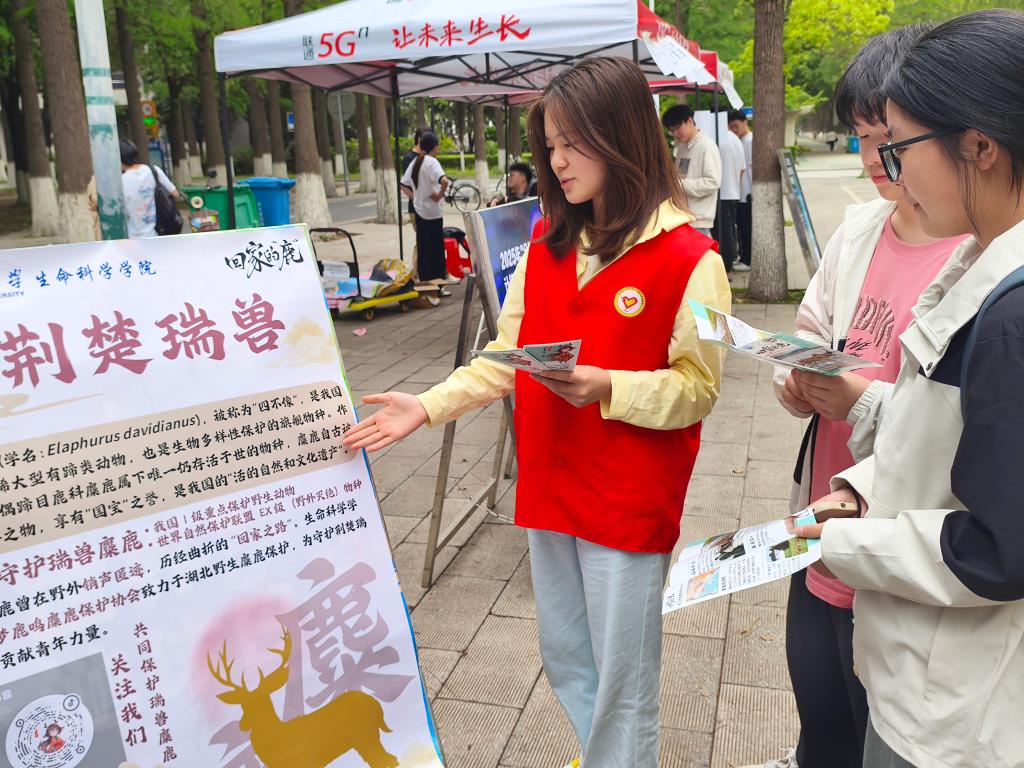 球王会平台,球王会网站