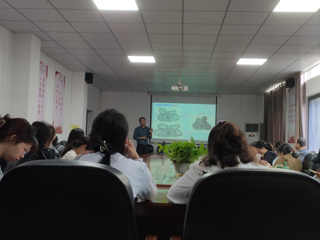 球王会平台,球王会网站
