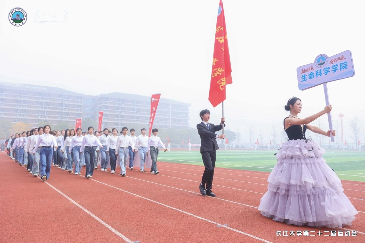 球王会平台,球王会网站