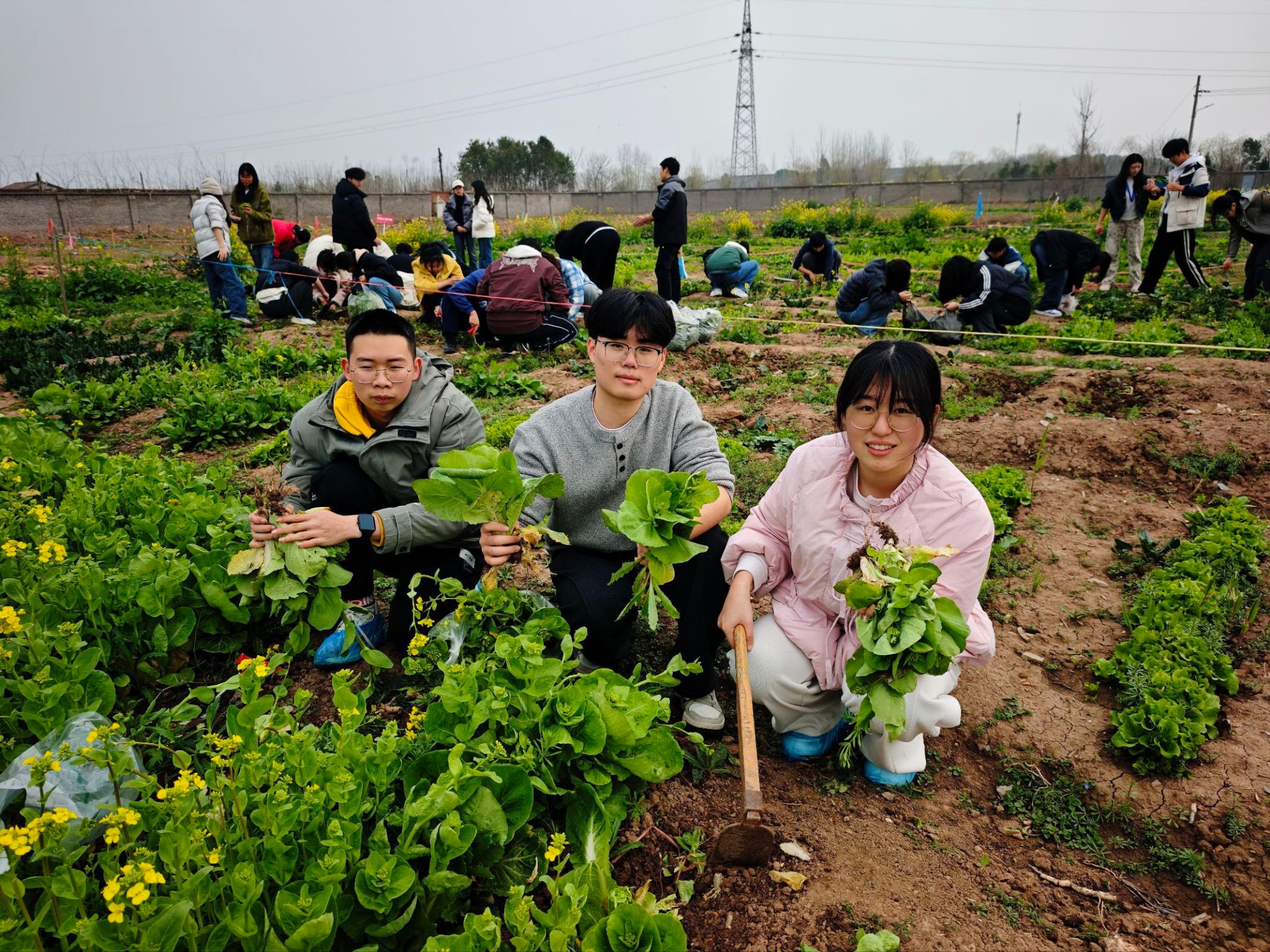 球王会平台,球王会网站