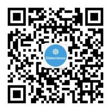 球王会平台,球王会网站