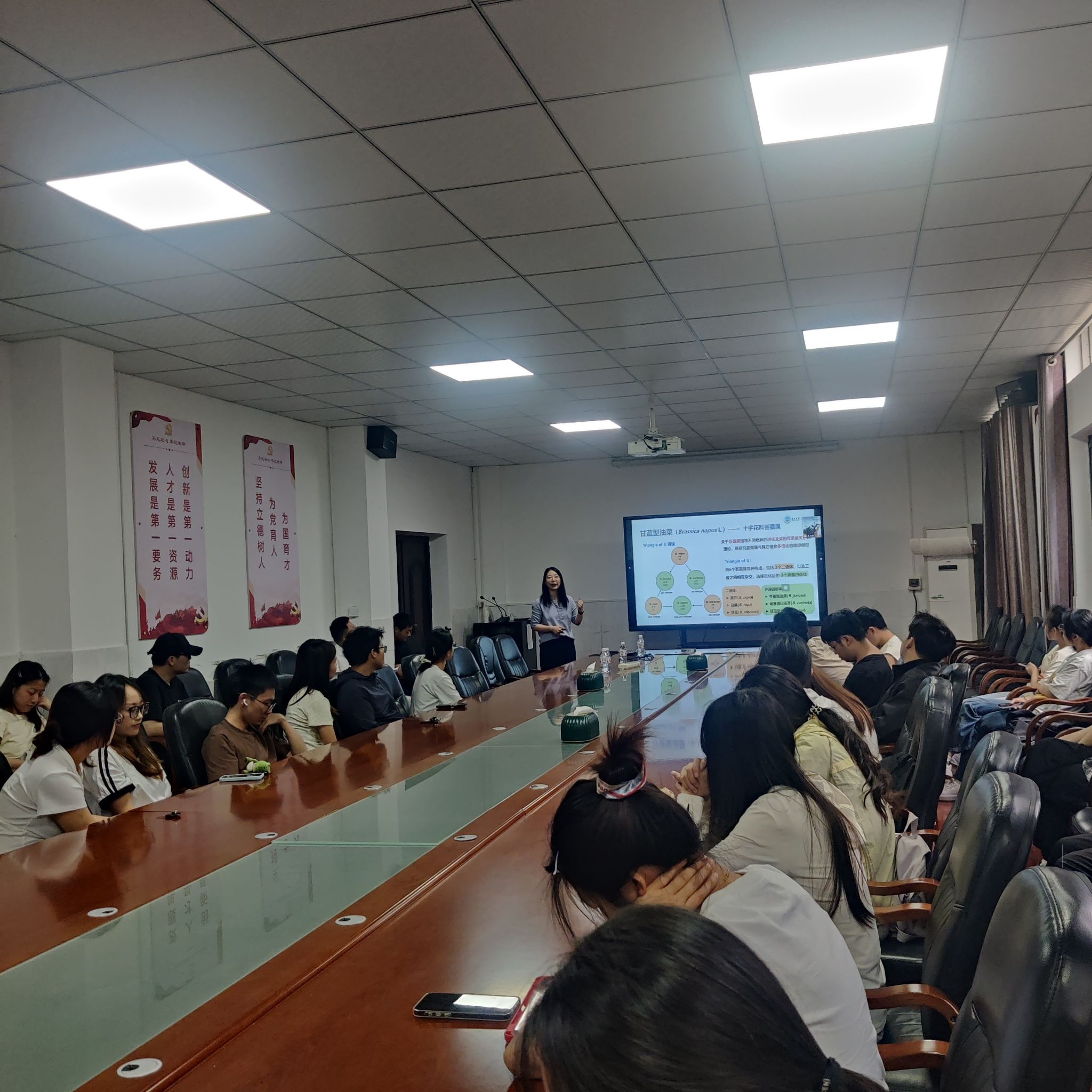 球王会平台,球王会网站