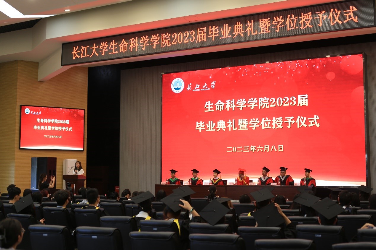 球王会平台,球王会网站