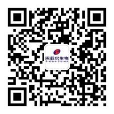 球王会平台,球王会网站