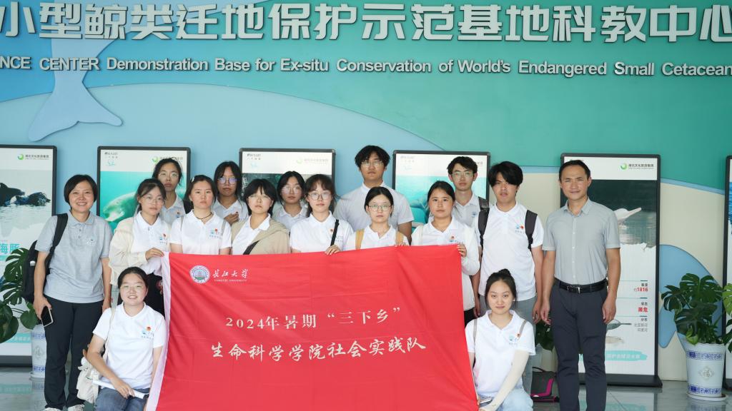 球王会平台,球王会网站