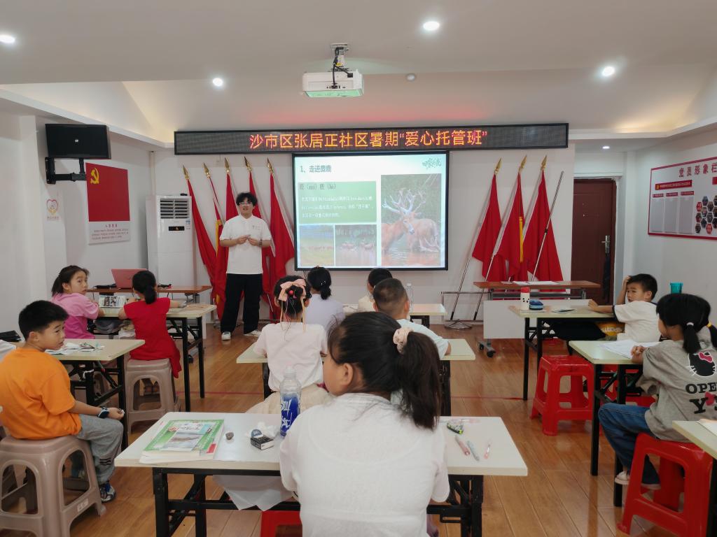 球王会平台,球王会网站