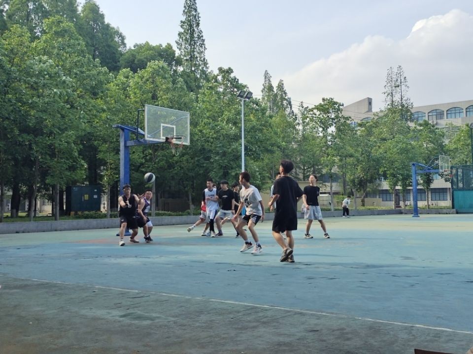 球王会平台,球王会网站