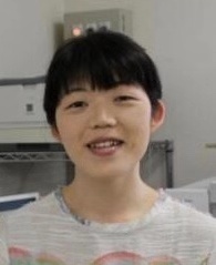 球王会平台,球王会网站