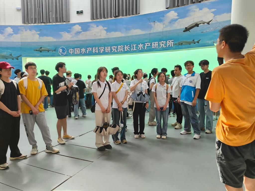 球王会平台,球王会网站
